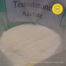 Acétate cru de testostérone de poudre d&#39;hormone de stéroïdes CAS 1045-69-8 Sh-Ts002